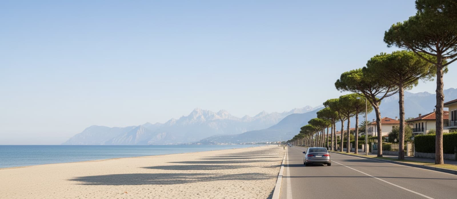 A car on a seaside avenue lined with umbrella pines, with a sandy beach and mountains beyond