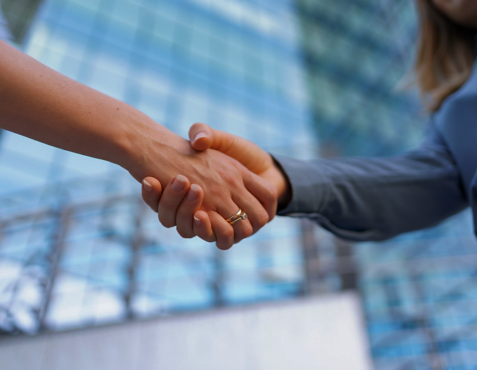 Professional transfer service